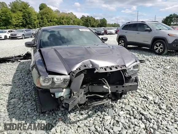 ✅ 2014 Dodge Charger RT • VIN: 2C3CDXCT1EH370154 • Lot: 80934955. Listed on Copart with 124,401 mi. Free auction sales archive from the USA and detailed vehicle history report at DreamBid. Image 13.