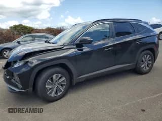 ✅ 2024 Hyundai Tucson Blue • VIN: KM8JBCD14RU213506 • Lot: 70726614. Wystawiony na Copart z przebiegiem 1 942 mil. Bezpłatny archiwum sprzedaży aukcyjnych z USA i szczegółowy raport historii pojazdu na DreamBid. Zdjęcie 1.