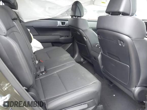 2025 Hyundai Santa Fe XRT с VIN 5NMP3DGL0SH083817, выставлен на аукционе IAAI как лот 43280054 с пробегом 1 809 миль миль и . История ставок и продаж доступна на DreamBid. Изображение 8.