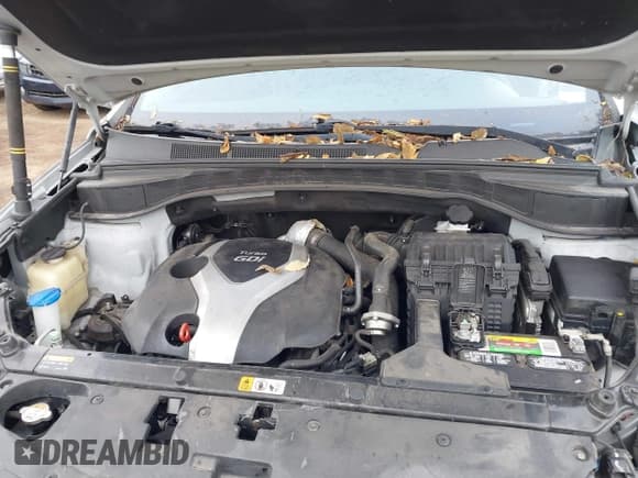 ✅ 2016 Hyundai Santa Fe • VIN: 5XYZWDLA9GG309133 • Lot: 43429006. Listed on IAAI with 125,931 mi. Free auction sales archive from the USA and detailed vehicle history report at DreamBid. Image 10.