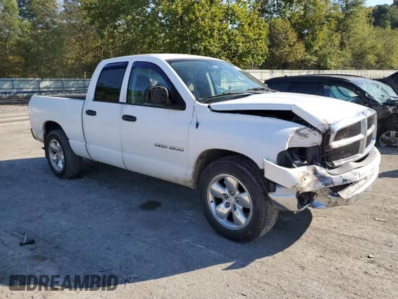 2004 Dodge 1500 SLT с VIN 1D7HA18N24S741272, выставлен на аукционе Copart как лот 74336294 с пробегом 193 594 миль миль и Списание • Salvage title. История ставок и продаж доступна на DreamBid. Изображение 4.