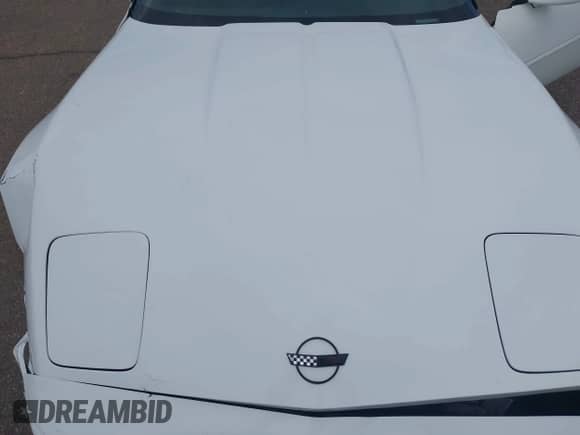 ✅ 1994 Chevrolet Corvette • VIN: 1G1YY32P0R5103497 • Lot: 43118727. Wystawiony na IAAI z przebiegiem 163 347 mil. Bezpłatny archiwum sprzedaży aukcyjnych z USA i szczegółowy raport historii pojazdu na DreamBid. Zdjęcie 10.