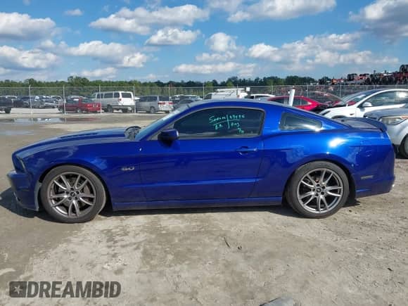 2014 Ford Mustang GT с VIN 1ZVBP8CF5E5318562, выставлен на аукционе IAAI как лот 43458560 с пробегом 96 858 миль миль и . История ставок и продаж доступна на DreamBid. Изображение 14.
