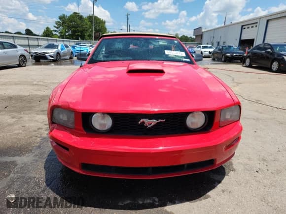 ✅ 2009 Ford Mustang GT • VIN: 1ZVHT85H795109897 • Lot: 64813875. Wystawiony na Copart z przebiegiem 97 313 mil. Bezpłatny archiwum sprzedaży aukcyjnych z USA i szczegółowy raport historii pojazdu na DreamBid. Zdjęcie 5.