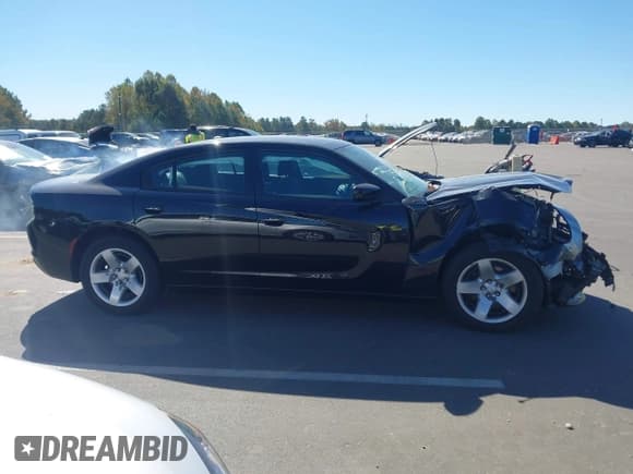 ✅ 2018 Dodge Charger Police • VIN: 2C3CDXAT7JH144133 • Lot: 43520659. Wystawiony na IAAI z przebiegiem 80 566 mil. Bezpłatny archiwum sprzedaży aukcyjnych z USA i szczegółowy raport historii pojazdu na DreamBid. Zdjęcie 13.