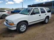 ✅ 1999 Chevrolet Blazer Trailblazer • VIN: 1GNDT13W0X2169505 • Lot: 54000505. Wystawiony na Copart z przebiegiem 181 903 mil. Bezpłatny archiwum sprzedaży aukcyjnych z USA i szczegółowy raport historii pojazdu na DreamBid. Zdjęcie 1.