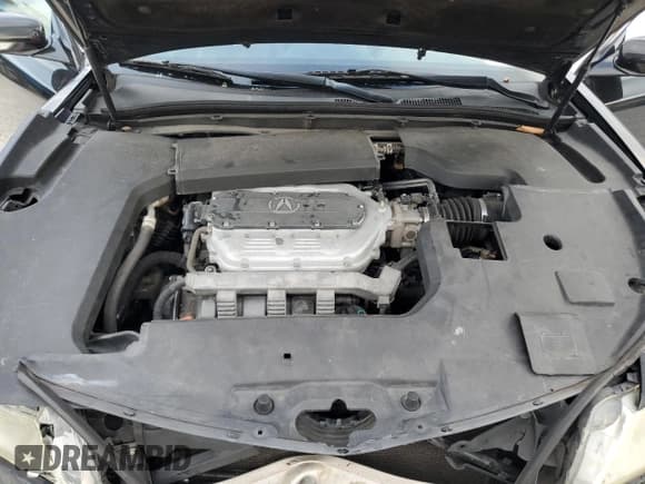 ✅ 2010 Acura TL • VIN: 19UUA8F2XAA012353 • Lot: 92185645. Wystawiony na Copart z przebiegiem 248 105 mil. Bezpłatny archiwum sprzedaży aukcyjnych z USA i szczegółowy raport historii pojazdu na DreamBid. Zdjęcie 11.