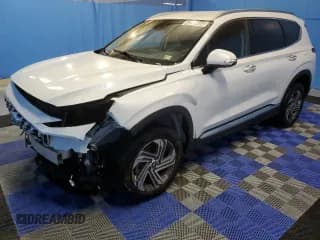 ✅ 2021 Hyundai Santa Fe SEL • VIN: 5NMS6DAJ2MH344621 • Lot: 42265494. Wystawiony na Copart z przebiegiem 40 426 mil. Bezpłatny archiwum sprzedaży aukcyjnych z USA i szczegółowy raport historii pojazdu na DreamBid. Zdjęcie 1.