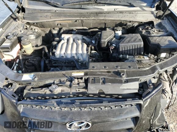 ✅ 2009 Hyundai Santa Fe GLS • VIN: 5NMSG73D29H302995 • Lot: 84647754. Listed on Copart with 173,443 mi. Free auction sales archive from the USA and detailed vehicle history report at DreamBid. Image 13.