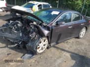 ✅ 2010 Nissan Maxima SV • VIN: 1N4AA5AP3AC810142 • Лот: 42785814. Опубликован ранее на IAAI с пробегом Не указан. Бесплатный доступ к архиву аукционных продаж из США и подробный отчёт об истории автомобиля на DreamBid. Изображение 2.