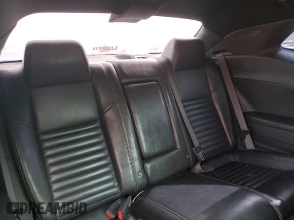 ✅ 2009 Dodge Challenger SE • VIN: 2B3LJ44V89H522084 • Lot: 78682254. Wystawiony na Copart z przebiegiem 78 783 mil. Bezpłatny archiwum sprzedaży aukcyjnych z USA i szczegółowy raport historii pojazdu na DreamBid. Zdjęcie 10.