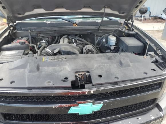 ✅ 2009 Chevrolet Silverado 1500 LT • VIN: 1GCEK29059Z228499 • Lot: 69448644. Listed on Copart with 235,320 mi. Free auction sales archive from the USA and detailed vehicle history report at DreamBid. Image 11.