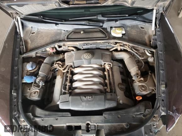 ✅ 2004 Volkswagen Phaeton V8 • VIN: WVWAF63D148009754 • Lot: 81324415. Wystawiony na Copart z przebiegiem 120 548 mil. Bezpłatny archiwum sprzedaży aukcyjnych z USA i szczegółowy raport historii pojazdu na DreamBid. Zdjęcie 11.