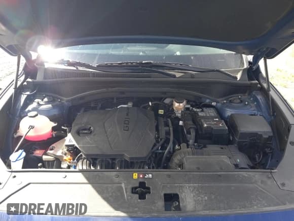 ✅ 2021 Hyundai Santa Fe SEL • VIN: 5NMS2DAJ7MH346196 • Lot: 59337063. Wystawiony na Copart z przebiegiem 16 060 mil. Bezpłatny archiwum sprzedaży aukcyjnych z USA i szczegółowy raport historii pojazdu na DreamBid. Zdjęcie 11.