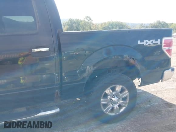✅ 2009 Ford F-150 XL • VIN: 1FTRW14899FB19462 • Lot: 43173510. Listed on IAAI with 195,631 mi. Free auction sales archive from the USA and detailed vehicle history report at DreamBid. Image 6.