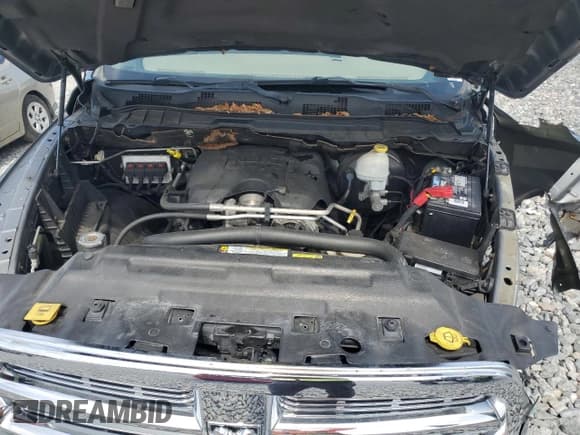 ✅ 2010 Dodge 1500 SLT • VIN: 1D7RB1CT4AS209105 • Lot: 61261075. Wystawiony na Copart z przebiegiem 115 199 mil. Bezpłatny archiwum sprzedaży aukcyjnych z USA i szczegółowy raport historii pojazdu na DreamBid. Zdjęcie 11.