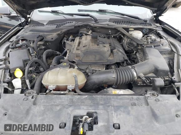 ✅ 2018 Ford Mustang EcoBoost Premium • VIN: 1FATP8UH5J5111239 • Lot: 42021034. Listed on IAAI with 96,986 mi. Free auction sales archive from the USA and detailed vehicle history report at DreamBid. Image 10.