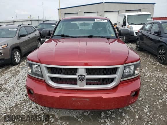 2010 Dodge Dakota SXT with VIN 1D7CW3GP8AS230686, listed as a Copart auction lot 65687704 with 110,017 mi miles and Salvage title. Bid and sale history available at DreamBid. Image 5.