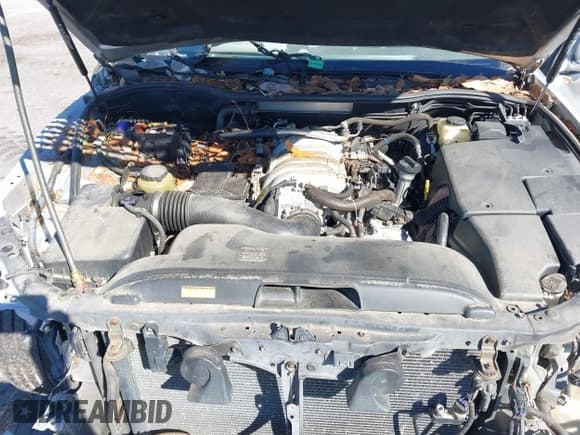 ✅ 2005 Lexus LS 430 • VIN: JTHBN36F950175487 • Lot: 43617050. Listed on IAAI with Not provided. Free auction sales archive from the USA and detailed vehicle history report at DreamBid. Image 10.