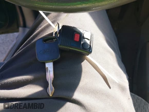 ✅ 1999 Ford Expedition XLT • VIN: 1FMPU18LXXLB85072 • Лот: 43046604. Опубликован ранее на IAAI с пробегом Не указан. Бесплатный доступ к архиву аукционных продаж из США и подробный отчёт об истории автомобиля на DreamBid. Изображение 11.