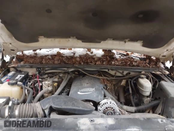 ✅ 2003 Chevrolet Silverado 2500HD LS • VIN: 1GCHK29U53E244524 • Lot: 43876661. Wystawiony na IAAI z przebiegiem 174 441 mil. Bezpłatny archiwum sprzedaży aukcyjnych z USA i szczegółowy raport historii pojazdu na DreamBid. Zdjęcie 10.