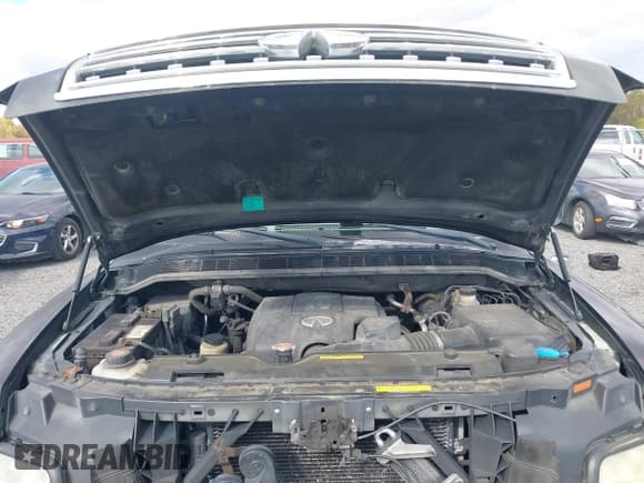 ✅ 2008 Infiniti QX56 • VIN: 5N3AA08C08N903752 • Lot: 43494916. Wystawiony na IAAI z przebiegiem 262 916 mil. Bezpłatny archiwum sprzedaży aukcyjnych z USA i szczegółowy raport historii pojazdu na DreamBid. Zdjęcie 10.