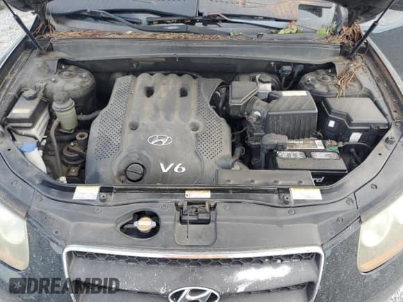 ✅ 2007 Hyundai Santa Fe GLS • VIN: 5NMSG13D87H108644 • Lot: 73912844. Listed on Copart with 99,172 mi. Free auction sales archive from the USA and detailed vehicle history report at DreamBid. Image 13.