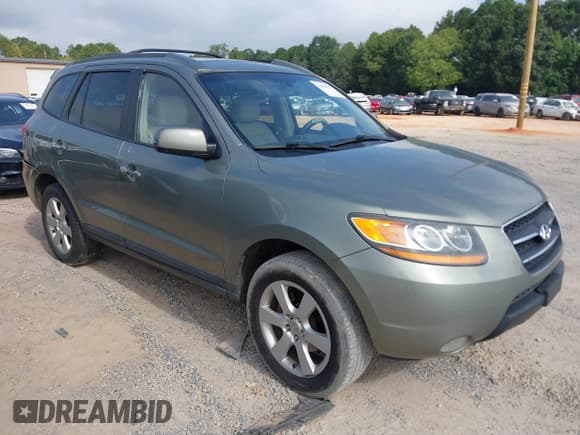 ✅ 2009 Hyundai Santa Fe SE • VIN: 5NMSH13EX9H312578 • Lot: 42863522. Listed on IAAI with 243,162 mi. Free auction sales archive from the USA and detailed vehicle history report at DreamBid. Image 1.