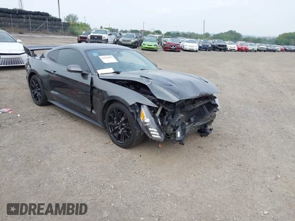 ✅ 2017 Ford Mustang GT • VIN: 1FA6P8CF3H5301080 • Lot: 42906475. Listed on IAAI with 107,293 mi. Free auction sales archive from the USA and detailed vehicle history report at DreamBid. Image 1.
