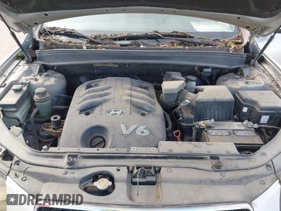 ✅ 2008 Hyundai Santa Fe SE • VIN: 5NMSH13E58H141382 • Lot: 43373724. Wystawiony na IAAI z przebiegiem 209 121 mil. Bezpłatny archiwum sprzedaży aukcyjnych z USA i szczegółowy raport historii pojazdu na DreamBid. Zdjęcie 10.