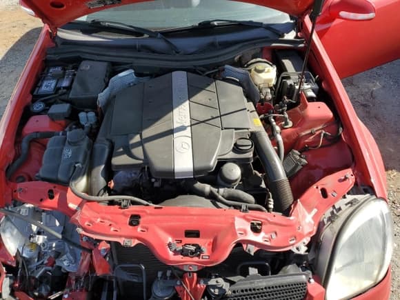 ✅ 2001 Mercedes-Benz SLK 230/320 • VIN: WDBKK65F01F214146 • Lot: 53469645. Listed on Copart with 88,119 mi. Free auction sales archive from the USA and detailed vehicle history report at DreamBid. Image 12.