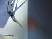 ✅ 1999 GMC Denali • VIN: 1GKEK13R0XR907082 • Lot: 42294238. Listed on IAAI with 204,803 mi. Free auction sales archive from the USA and detailed vehicle history report at DreamBid. Image 11.