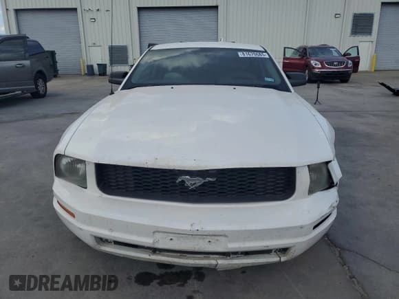 ✅ 2008 Ford Mustang Deluxe • VIN: 1ZVHT80N785140031 • Lot: 81670685. Wystawiony na Copart z przebiegiem 253 909 mil. Bezpłatny archiwum sprzedaży aukcyjnych z USA i szczegółowy raport historii pojazdu na DreamBid. Zdjęcie 5.