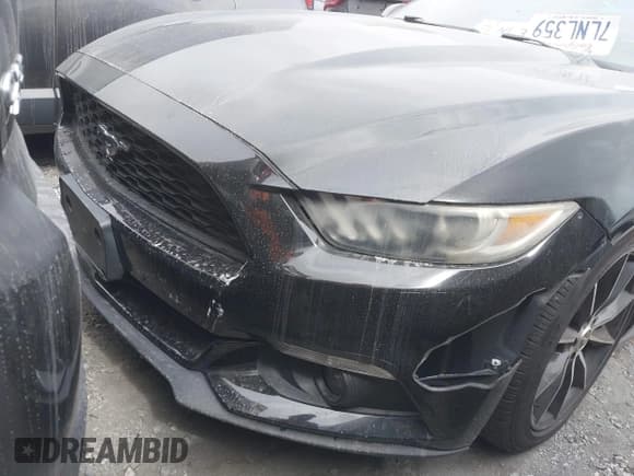 ✅ 2015 Ford Mustang EcoBoost • VIN: 1FA6P8TH1F5396334 • Lot: 43156028. Listed on IAAI with 66,266 mi. Free auction sales archive from the USA and detailed vehicle history report at DreamBid. Image 13.