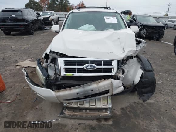✅ 2009 Ford Escape Limited • VIN: 1FMCU04799KC05256 • Lot: 43653162. Listed on IAAI with Not provided. Free auction sales archive from the USA and detailed vehicle history report at DreamBid. Image 13.