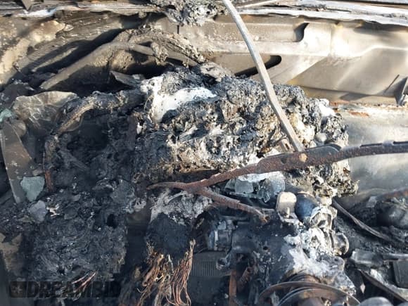 ✅ 1992 Ford Bronco XL • VIN: 1FMEU15N1NLA67132 • Lot: 41451821. Wystawiony na IAAI z przebiegiem Nie podano. Bezpłatny archiwum sprzedaży aukcyjnych z USA i szczegółowy raport historii pojazdu na DreamBid. Zdjęcie 7.