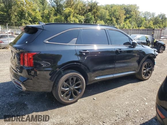 ✅ 2023 Kia Sorento SX • VIN: 5XYRKDLF8PG226106 • Lot: 80510545. Listed on Copart with 20,638 mi. Free auction sales archive from the USA and detailed vehicle history report at DreamBid. Image 3.