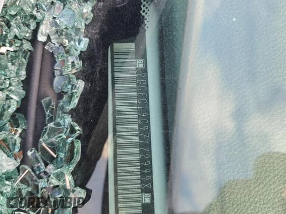 ✅ 2007 Chevrolet Silverado 1500 Work Truck • VIN: 2GCEC19C971729998 • Lot: 59009075. Listed on Copart with Not provided. Free auction sales archive from the USA and detailed vehicle history report at DreamBid. Image 12.