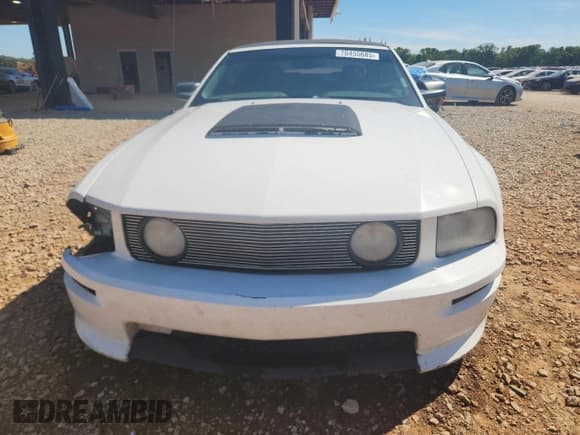 ✅ 2009 Ford Mustang GT • VIN: 1ZVHT85H995101560 • Lot: 70455685. Wystawiony na Copart z przebiegiem 248 600 mil. Bezpłatny archiwum sprzedaży aukcyjnych z USA i szczegółowy raport historii pojazdu na DreamBid. Zdjęcie 5.