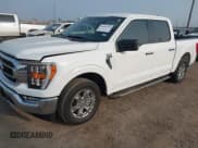 ✅ 2023 Ford F-150 XL • VIN: 1FTEW1CP1PKF44623 • Lot: 41921624. Wystawiony na IAAI z przebiegiem 3 008 mil. Bezpłatny archiwum sprzedaży aukcyjnych z USA i szczegółowy raport historii pojazdu na DreamBid. Zdjęcie 2.