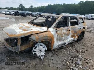 ✅ 2025 Hyundai Palisade SEL Premium • VIN: KM8R44GE2SU856279 • Lot: 69780265. Wystawiony na Copart z przebiegiem Nie podano. Bezpłatny archiwum sprzedaży aukcyjnych z USA i szczegółowy raport historii pojazdu na DreamBid. Zdjęcie 1.