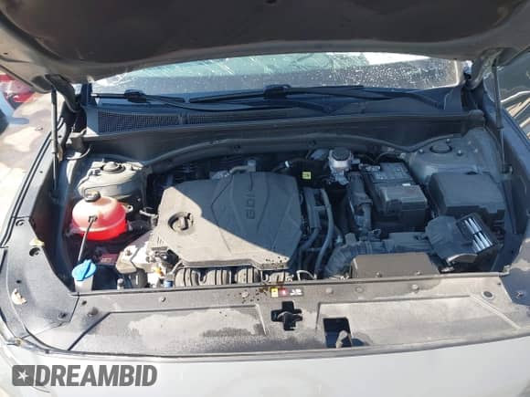 2022 Hyundai Santa Fe SEL с VIN 5NMS24AJ7NH376364, выставлен на аукционе IAAI как лот 43351955 с пробегом 50 315 миль миль и . История ставок и продаж доступна на DreamBid. Изображение 10.