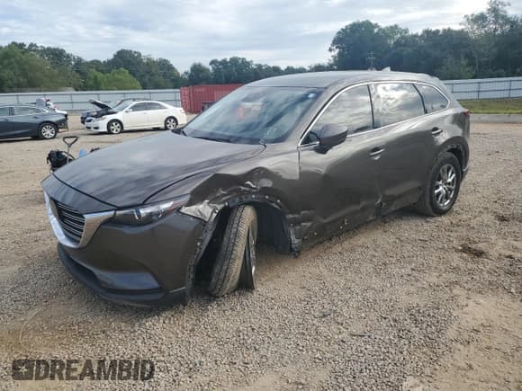 ✅ 2019 Mazda CX-9 Touring • VIN: JM3TCACYXK0308878 • Lot: 81946995. Listed on Copart with 107,307 mi. Free auction sales archive from the USA and detailed vehicle history report at DreamBid. Image 1.