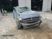 ✅ 2002 Dodge Dakota • VIN: 1B7GL12X12S669374 • Lot: 81964605. Wystawiony na Copart z przebiegiem 71 608 mil. Bezpłatny archiwum sprzedaży aukcyjnych z USA i szczegółowy raport historii pojazdu na DreamBid. Zdjęcie 13.