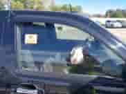 2012 Chevrolet Colorado 1LT с VIN 1GCJTCFE9C8167608, выставлен на аукционе IAAI как лот 43351692 с пробегом Не указан миль и . История ставок и продаж доступна на DreamBid. Изображение 5.