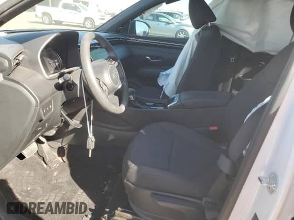 2023 Hyundai Santa Cruz SE с VIN 5NTJA4AE2PH069127, выставлен на аукционе Copart как лот 88811635 с пробегом Не указан миль и Списание • Salvage title. История ставок и продаж доступна на DreamBid. Изображение 7.