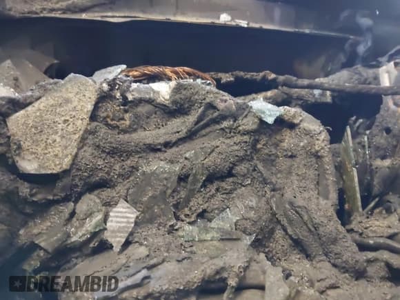 ✅ 2018 Nissan Frontier S • VIN: 1N6BD0CT9JN726993 • Lot: 41977385. Listed on IAAI with Not provided. Free auction sales archive from the USA and detailed vehicle history report at DreamBid. Image 7.