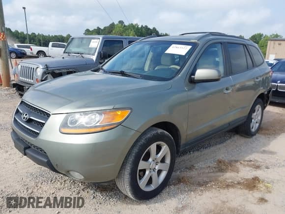 ✅ 2009 Hyundai Santa Fe SE • VIN: 5NMSH13EX9H312578 • Lot: 42863522. Listed on IAAI with 243,162 mi. Free auction sales archive from the USA and detailed vehicle history report at DreamBid. Image 2.