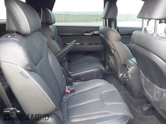 ✅ 2024 Hyundai Palisade Calligraphy • VIN: KM8R7DGEXRU780389 • Лот: 40684649. Опубликован ранее на IAAI с пробегом 6 208 миль. Бесплатный доступ к архиву аукционных продаж из США и подробный отчёт об истории автомобиля на DreamBid. Изображение 8.