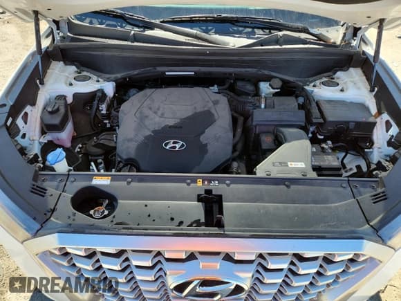 ✅ 2022 Hyundai Palisade SEL • VIN: KM8R44HEXNU482507 • Лот: 85709545. Опубликован ранее на Copart с пробегом 22 802 миль. Бесплатный доступ к архиву аукционных продаж из США и подробный отчёт об истории автомобиля на DreamBid. Изображение 12.